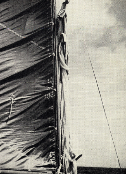 Photo of clothes and towels drying