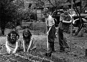 Cleveland Public School students in their victory garden, May, 1942