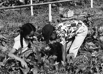 Two Harvey Rice school gardeners share a discovery